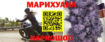 шишки Пушкино